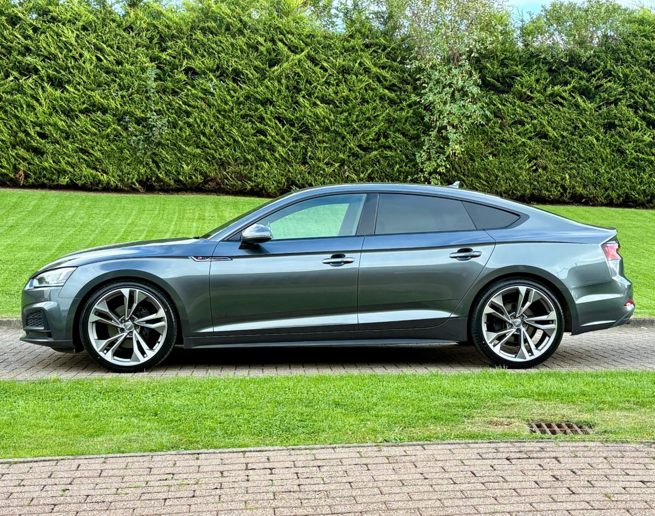2019 AUDI A5 S Line - vehicle photo 8 for sale on PureCar