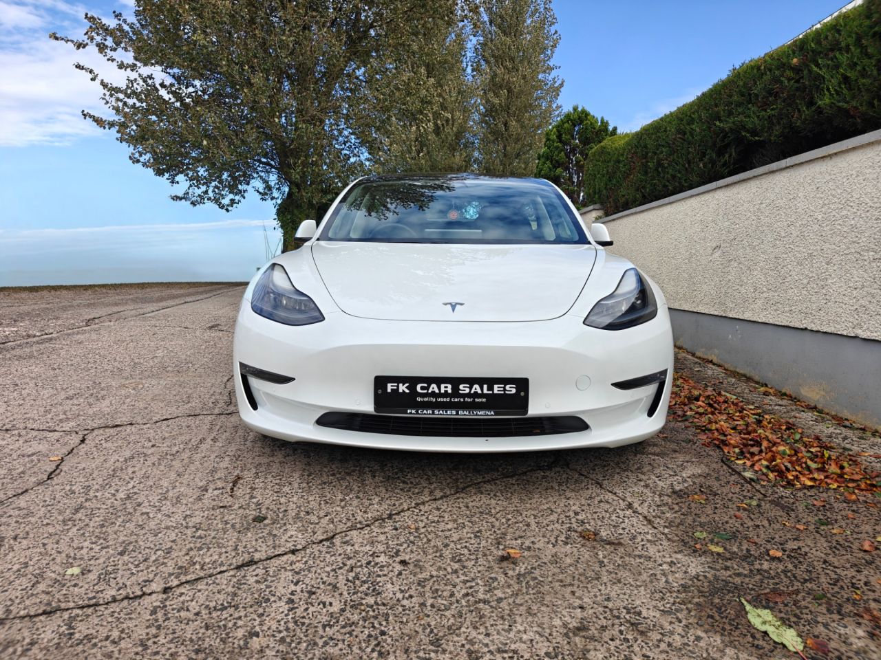 2021 TESLA Model 3 (Dual Motor) Long Range Saloon 4dr Electric Auto 4WDE (346 ps) - vehicle photo 2 for sale on PureCar