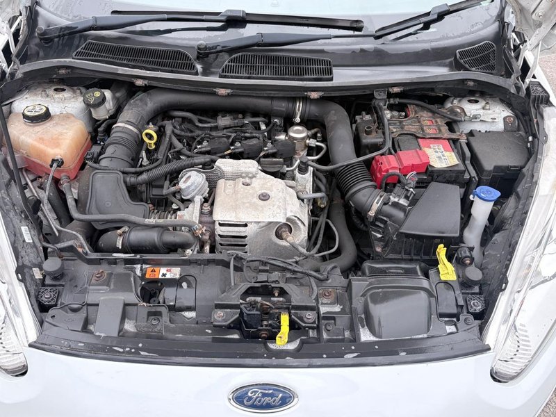 2015 Ford Fiesta in white — photo 21 of 21