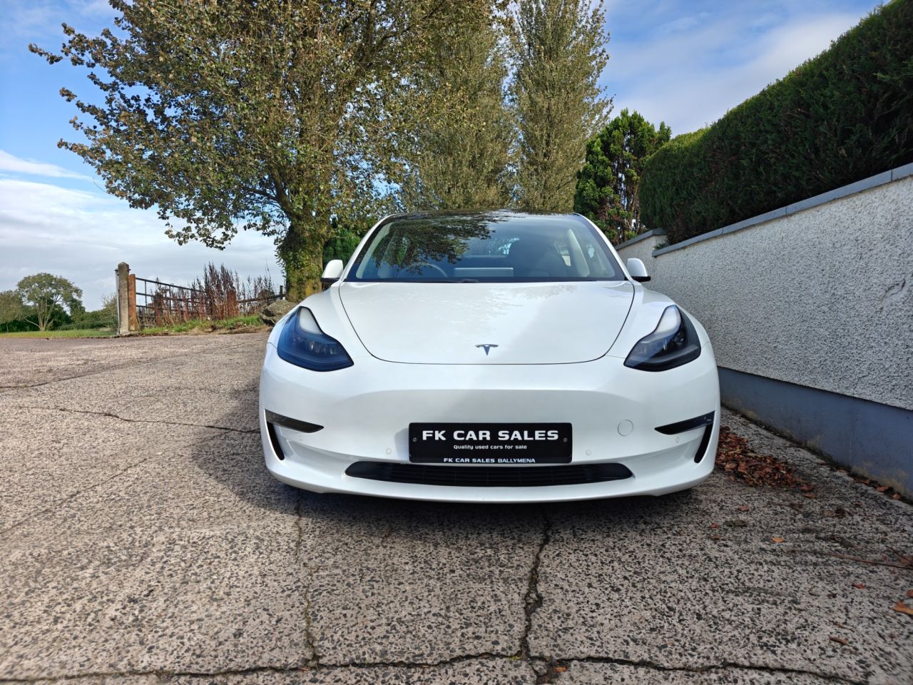 2021 TESLA Model 3 (Dual Motor) Long Range Saloon 4dr Electric Auto 4WDE (346 ps) - vehicle photo 2 for sale on PureCar