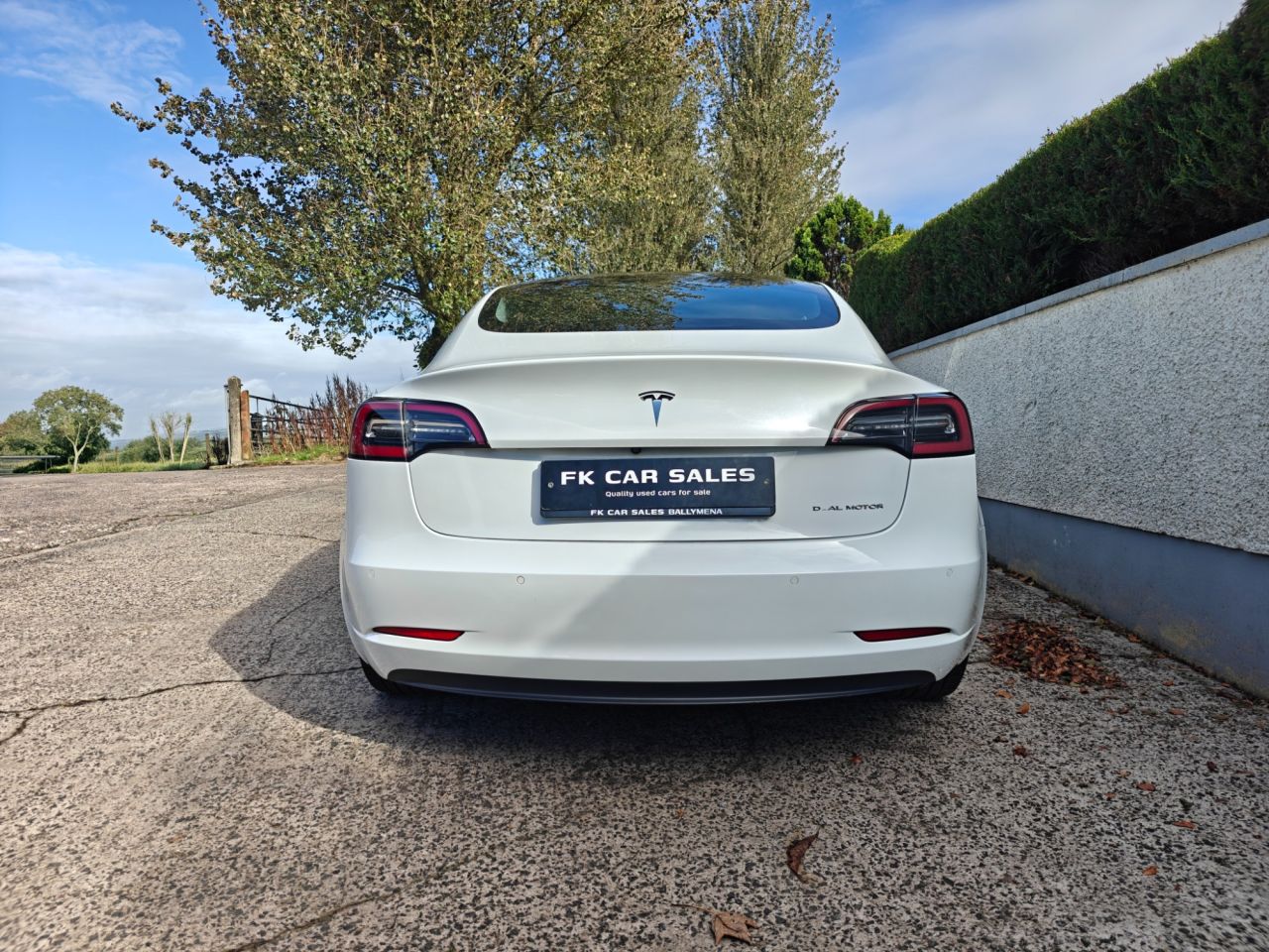 2021 TESLA Model 3 (Dual Motor) Long Range Saloon 4dr Electric Auto 4WDE (346 ps) - vehicle photo 6 for sale on PureCar