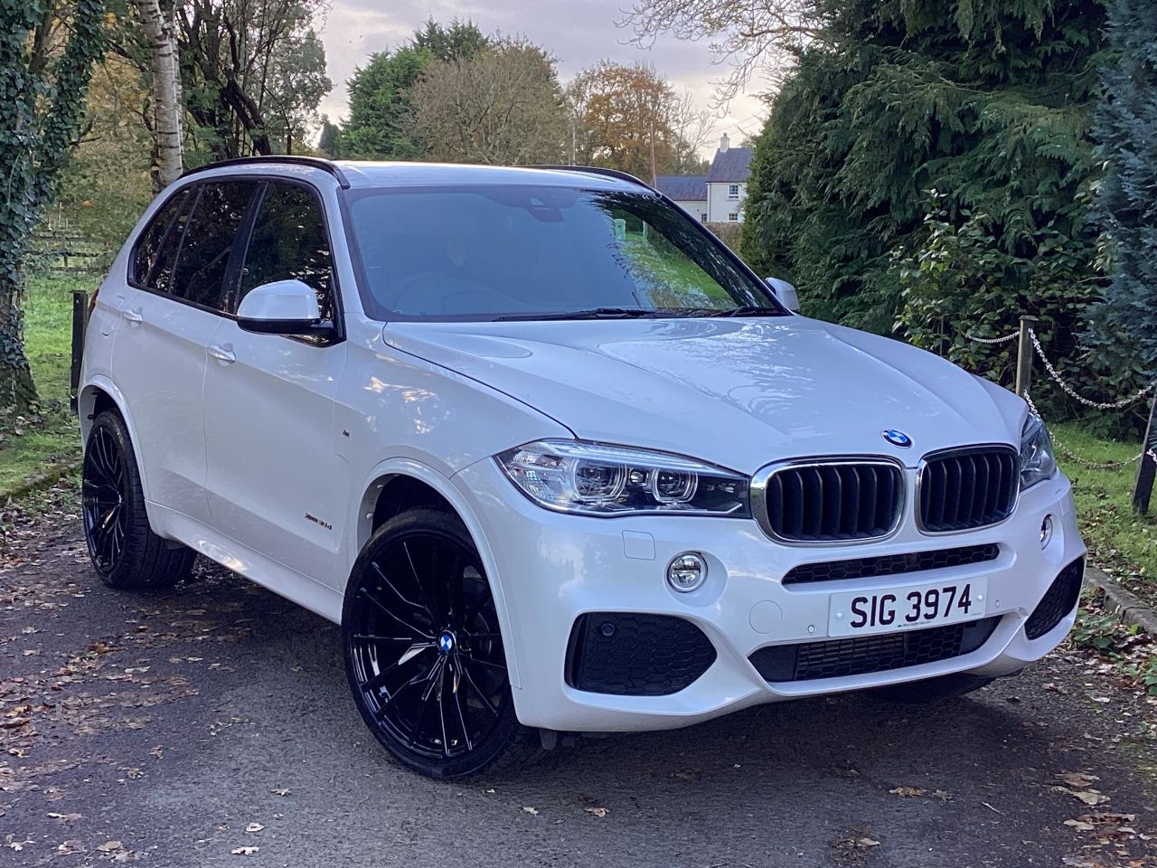 2017 BMW X5 3.0 30d M Sport SUV 5dr Diesel Auto xDrive Euro 6 (s/s) (258 ps) - vehicle photo 3 for sale on PureCar