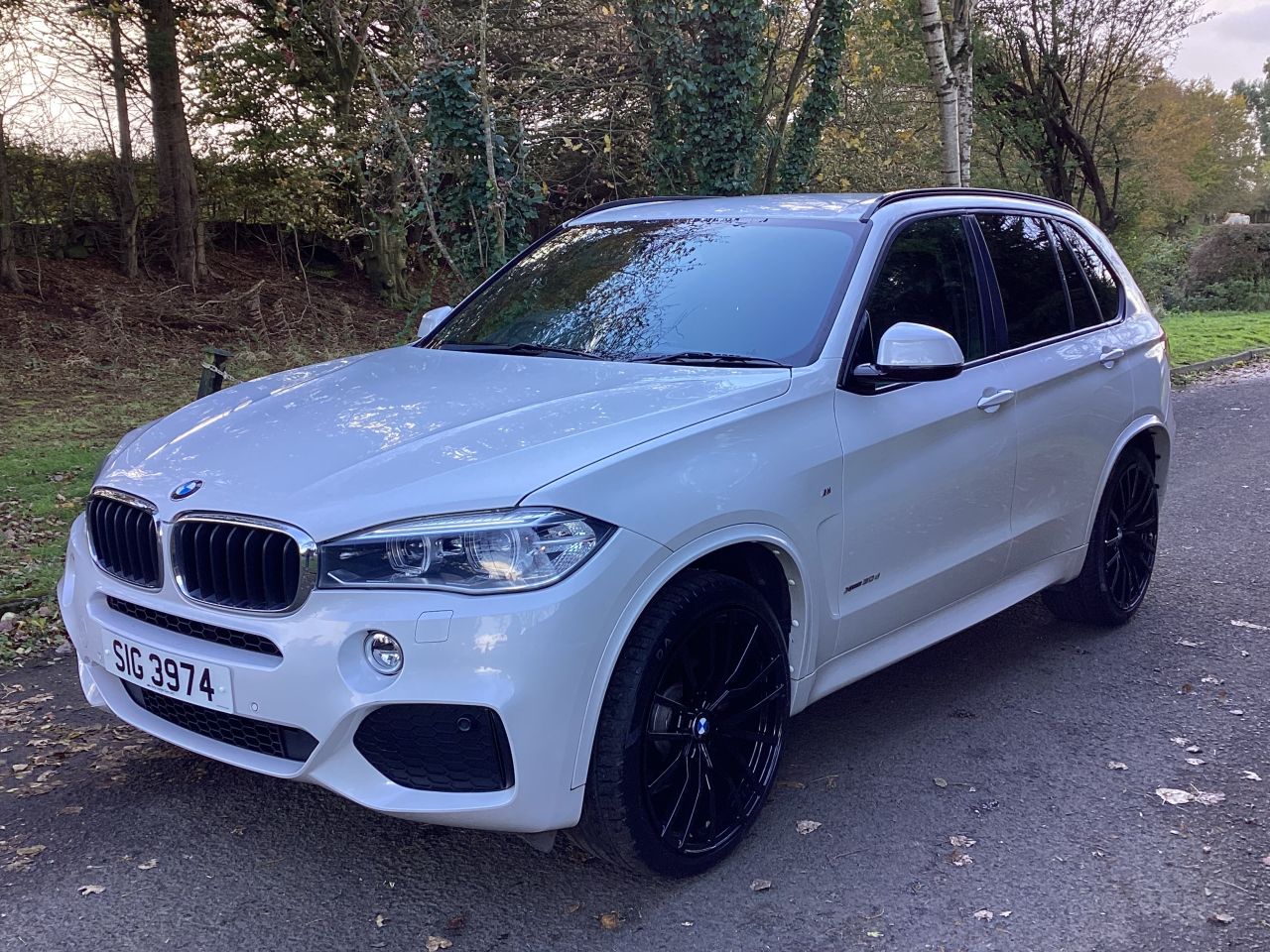2017 BMW X5 3.0 30d M Sport SUV 5dr Diesel Auto xDrive Euro 6 (s/s) (258 ps) - vehicle photo 5 for sale on PureCar