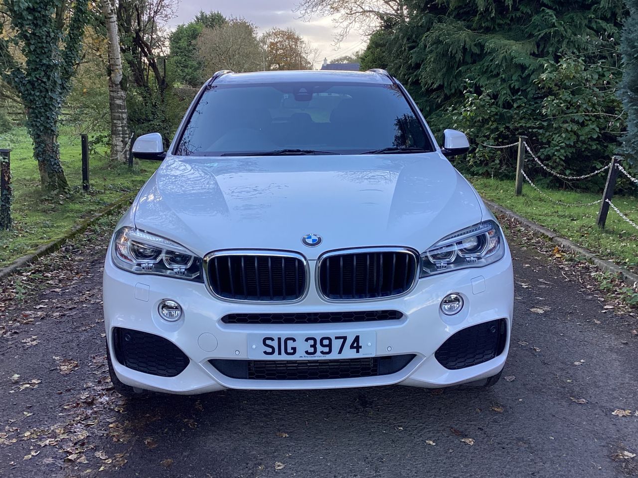2017 BMW X5 3.0 30d M Sport SUV 5dr Diesel Auto xDrive Euro 6 (s/s) (258 ps) - vehicle photo 6 for sale on PureCar