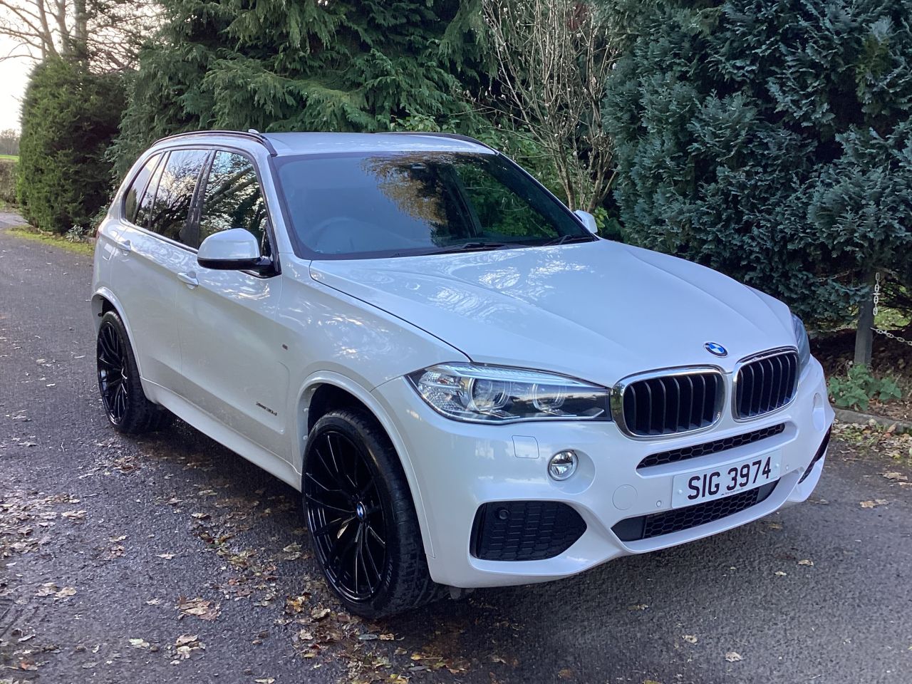 2017 BMW X5 3.0 30d M Sport SUV 5dr Diesel Auto xDrive Euro 6 (s/s) (258 ps) - vehicle photo 7 for sale on PureCar