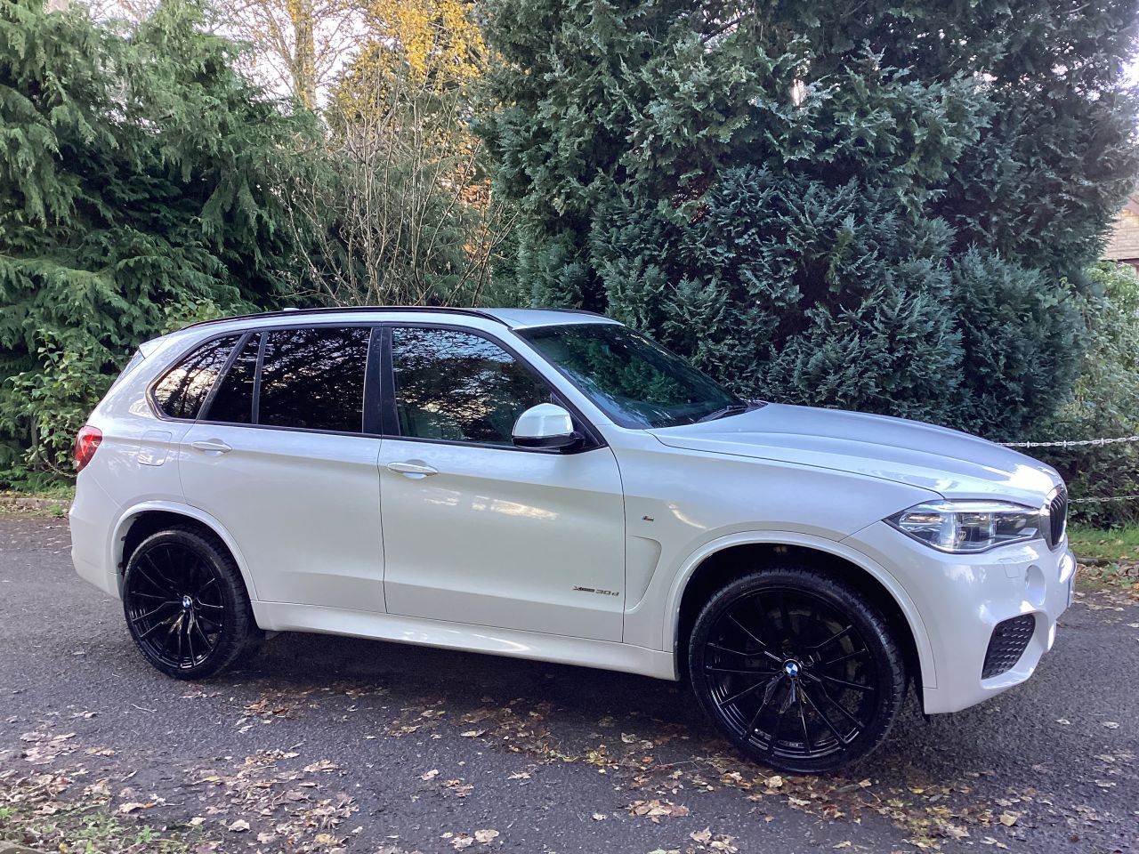 2017 BMW X5 3.0 30d M Sport SUV 5dr Diesel Auto xDrive Euro 6 (s/s) (258 ps) - vehicle photo 8 for sale on PureCar