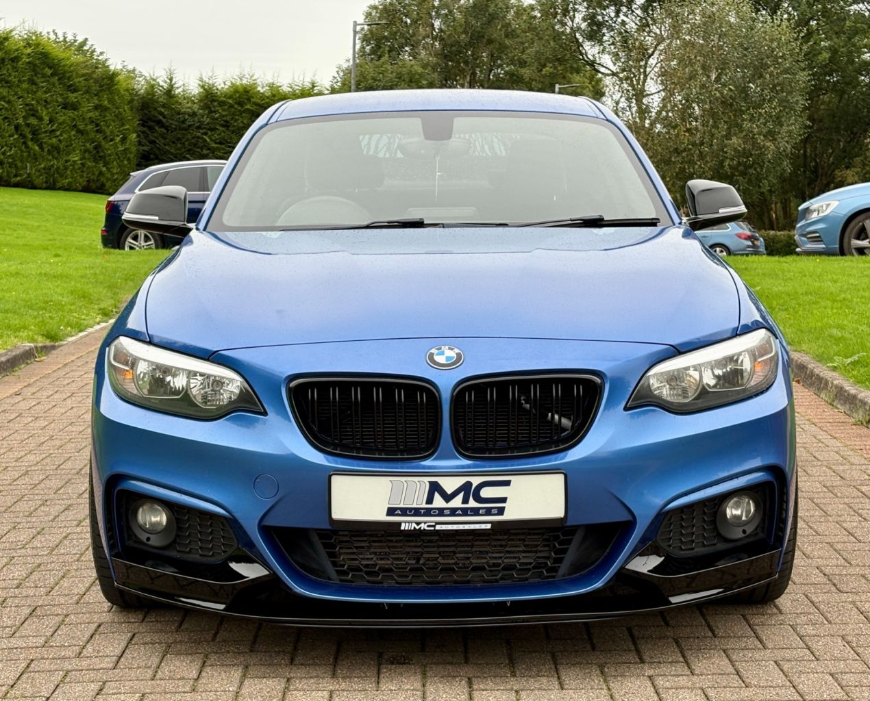 2014 BMW 2 SERIES 2.0 218d M Sport Coupe 2dr Diesel Manual Euro 6 (s/s) (143 ps) - vehicle photo 10 for sale on PureCar