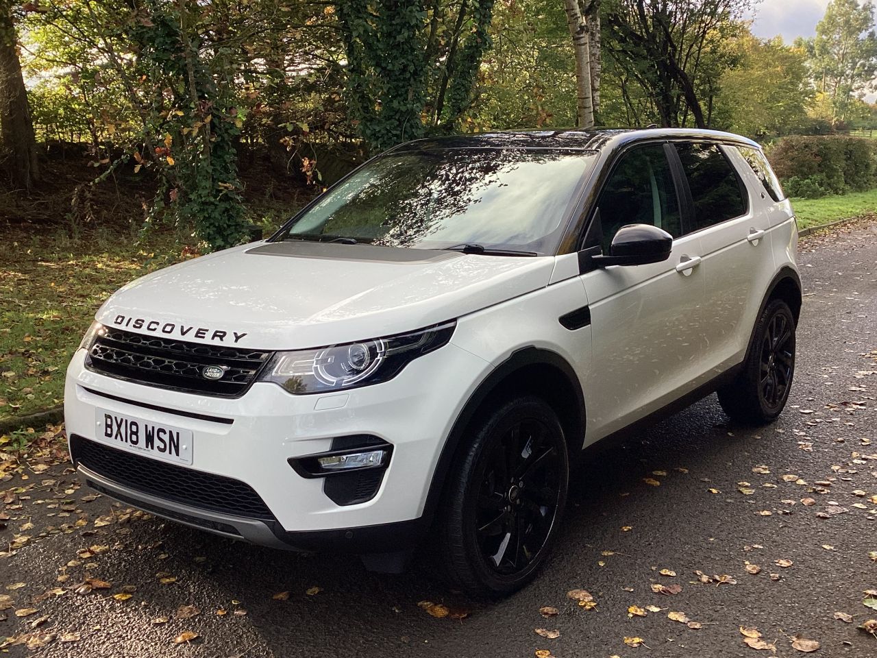 2018 LAND ROVER DISCOVERY SPORT 2.0 TD4 HSE Black SUV 5dr Diesel Auto 4WD Euro 6 (s/s) (180 ps) - vehicle photo 6 for sale on PureCar